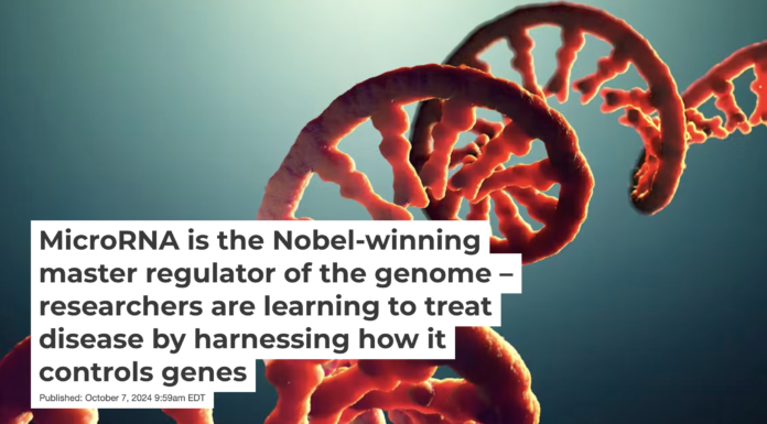 RNA is more than just a transitional state between DNA and protein. Christoph Burgstedt/Science Photo Library via Getty Images